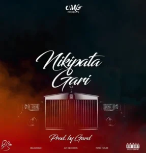 Music Audio : OMG – Nikipata Gari