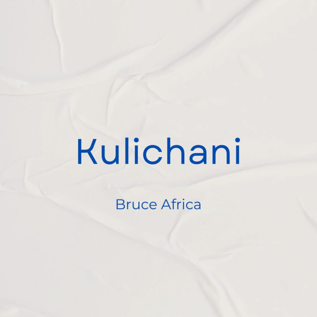 Music Audio | Bruce Africa – Kulichani | Download