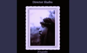 Music Audio | Director Shaibu – Niwambie | Download Mp3