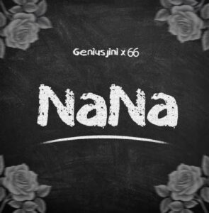 Music Audio | Genius Jini X66 – Nana | Download Mp3