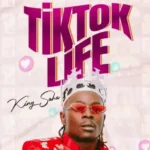 TikTok Life | Download Mp3
