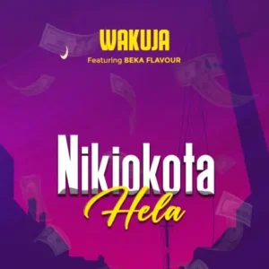 Music Audio : Wakuja Ft Beka Flavour – Nikiokota Hela | Download