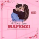 Mapenzi | Download
