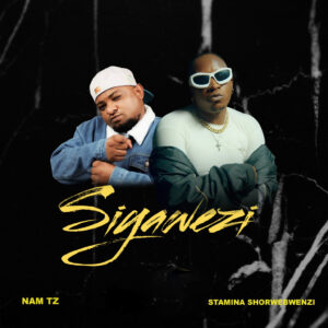 Music Audio | Nam tz Ft Stamina shorwebwenzi – Siyawezi | Download Mp3