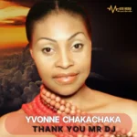 Thank You Mr DJ | Download Mp3