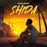 Music Audio | Adam Berry – Shida | Download Mp3