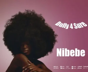 Music Audio : Dully 4 sure – nibebe | Download