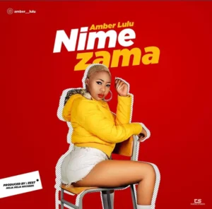 Music Audio : Amber Lulu – NIMEZAMA | Download