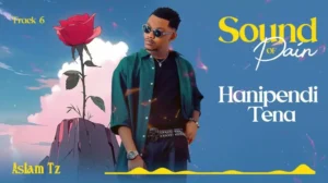 Music Audio : Aslam Tz – Hanipendi Tena (Acoustic) | Download