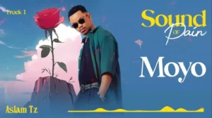 Music Audio : Aslam Tz – Moyo (Acoustic) | Download