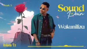 Music Audio : Aslam Tz – Wakuniliza (Acoustic) | Download