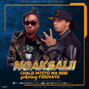 Music Audio : Chalii Mtoto Wa Bibi Ft Fido Vato – Ngaksalii | Download