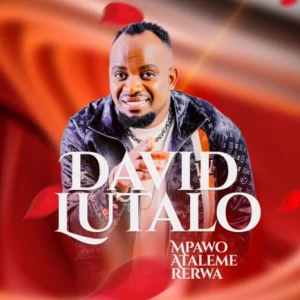Music Audio : David Lutalo – Mpawo Atalemererwa | Download