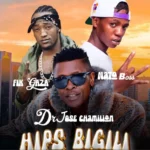 HIPS BIGILI | Download