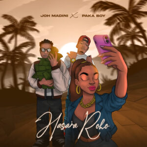 Music Audio : Joh Madini Ft Paka Boy – Hasara Roho | Download