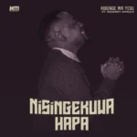 Nisingekuwa Hapa | Download