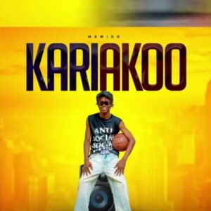 Music Audio : Mbwido – Kariakoo | Download