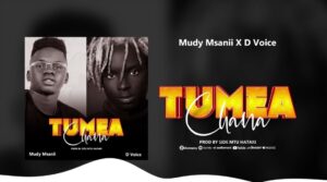 Music Audio : Mudy Msanii Ft D voice -Tumeachana | Download