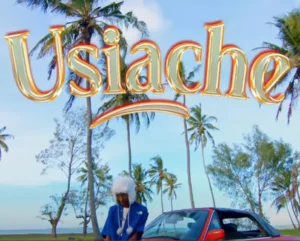 Music Audio : Realkid96 Ft GeniusJini x66 – Usiache | Download