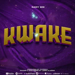 Music Audio : Sany Boi – Kwake | Download