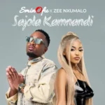 Sajola Kamnandi | Download