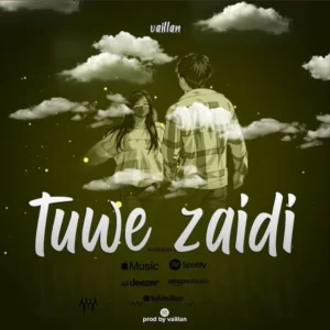Music Audio : Vaillan Tz – Tuwe Zaidi | Download