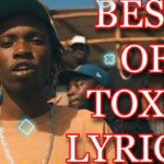 BEST OF TOXIC LYRICAL MIX