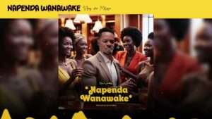 Music Audio : Nay Wa Mitego – Napenda Wanawake | Download