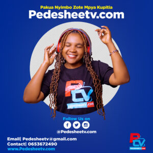 MIXTAPE | DJ REDBONE – Pent House XP with Gordon’s FT BIGPIN 48 mix