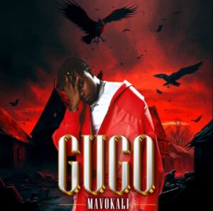Music Audio : Mavokali – Gugo | Download