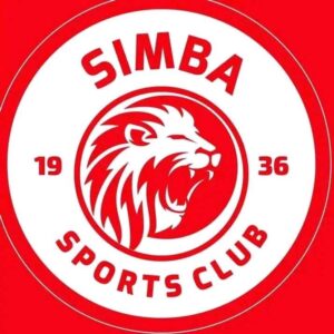 Music Audio : Mnene Mc – Simba Bigwa | Download