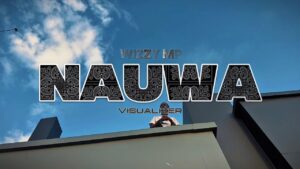 Music Audio : Wizzy Mp – Naua | Download