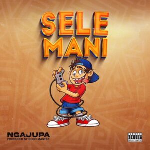 Music Audio : Ngajupa – Selemani | Download