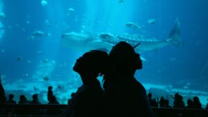 Music Audio :Nonini Ft. Jay (Good vibes)- JIAMINI | Download