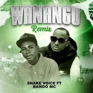 Music Audio : Snake Voice Ft. Bando mc – Wanangu remix | Download