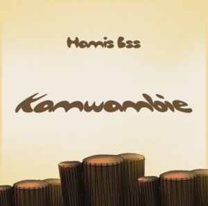 Music Audio : Hamis BSS – Kamwambie | Download