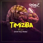 Stream & Download Music Audio : Drimz Ft Smart Boy Sheba – Timiziba | Download
