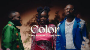 Music Audio : Vijana Barubaru X Gogo Ashley – Color | Download