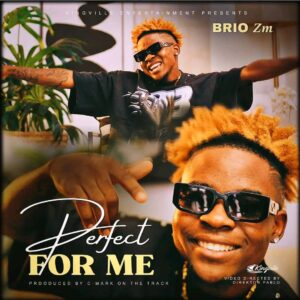Music Audio : Brio Zm – Perfect For Me | Download