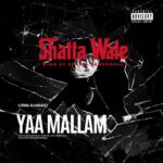Yaa Mallam | Download