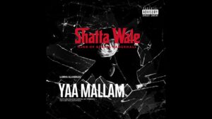 Music Audio : Shatta Wale – Yaa Mallam | Download