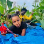 Hisia | Download