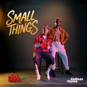 Music Audio : Aidfest Ft Kineo – Small Things | Download Mp3
