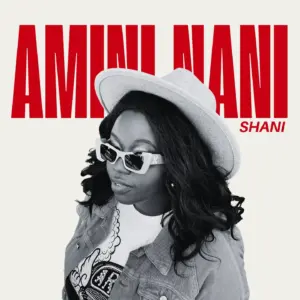 Music Audio : Shani – Amini Nani | Download