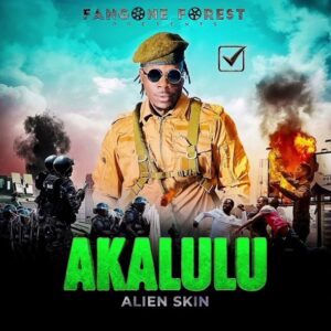 Music Audio : Alien Skin – Akalulu | Download