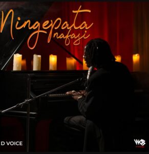 Music Audio : D Voice – Ningepata Nafasi | Download