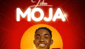Music Audio : Dogo Mallo – Jibu Moja | Download Mp3