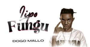 Music Audio : Dogo Mallo – Lipo Fungu | Download Mp3
