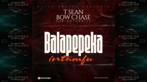 Music Audio : T-Sean Ft Bow Chase – Intamfu | Download