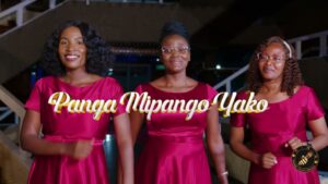 Music Audio : Msanii Music Group – Panga Mipango Yako | Download Mp3